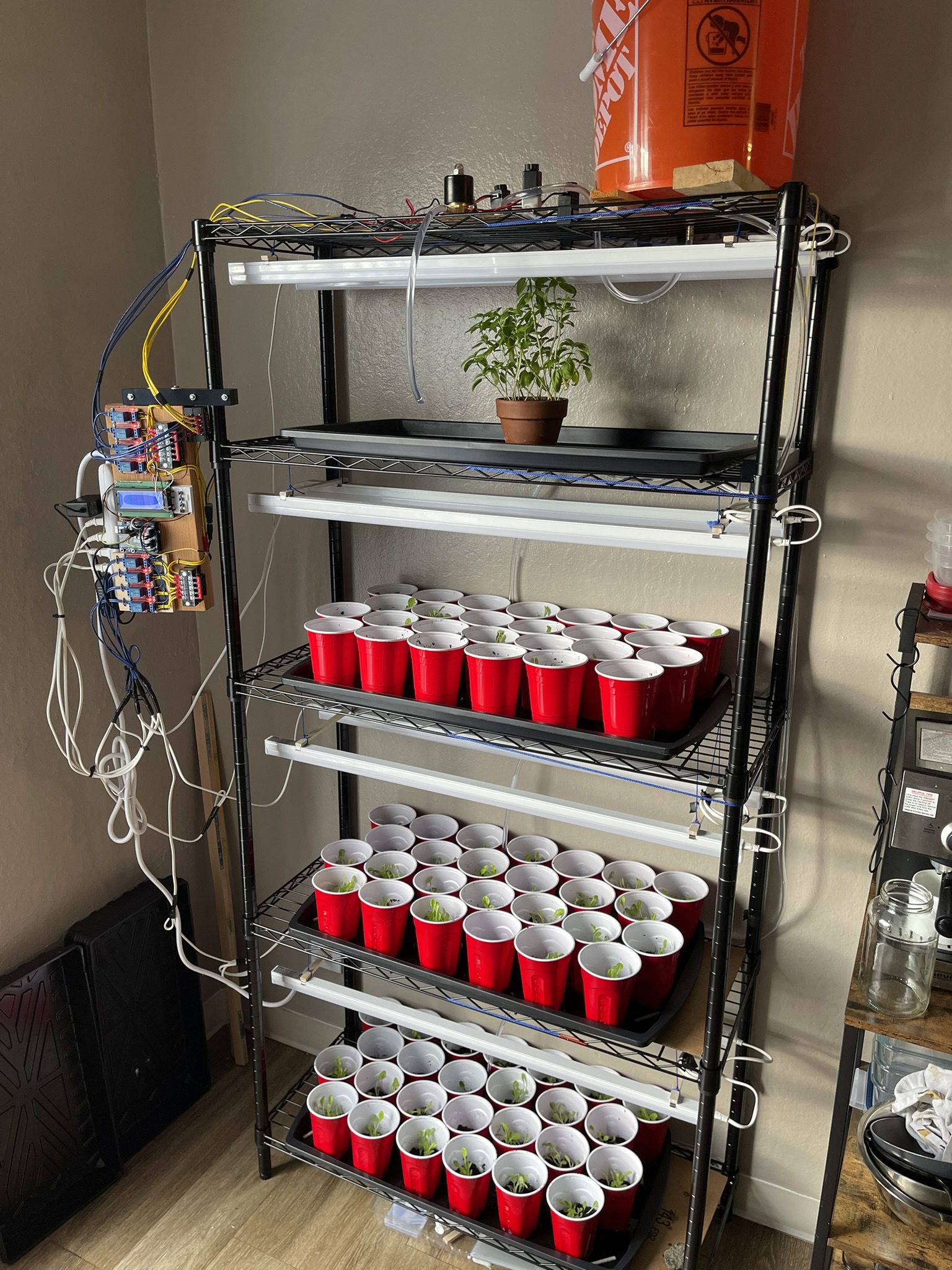 Plant shelf before winter break