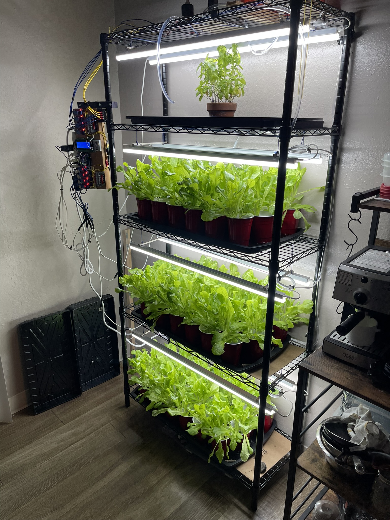 Plant shelf upon my return