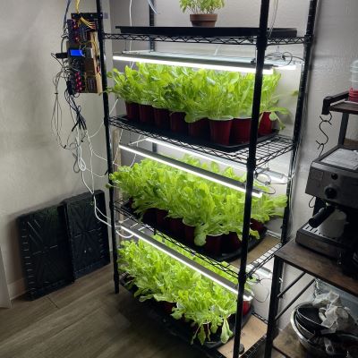 Vertical Garden thumbnail