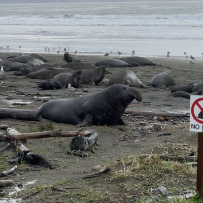 Nature Group 104 thumbnail