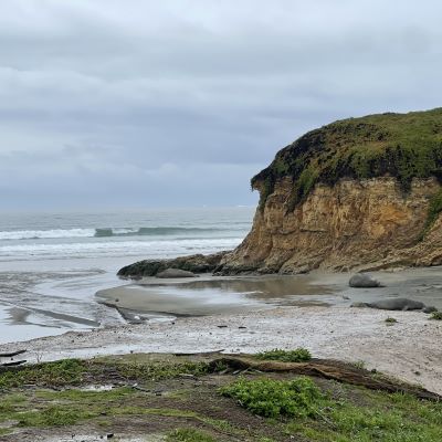 Nature Group 104 thumbnail